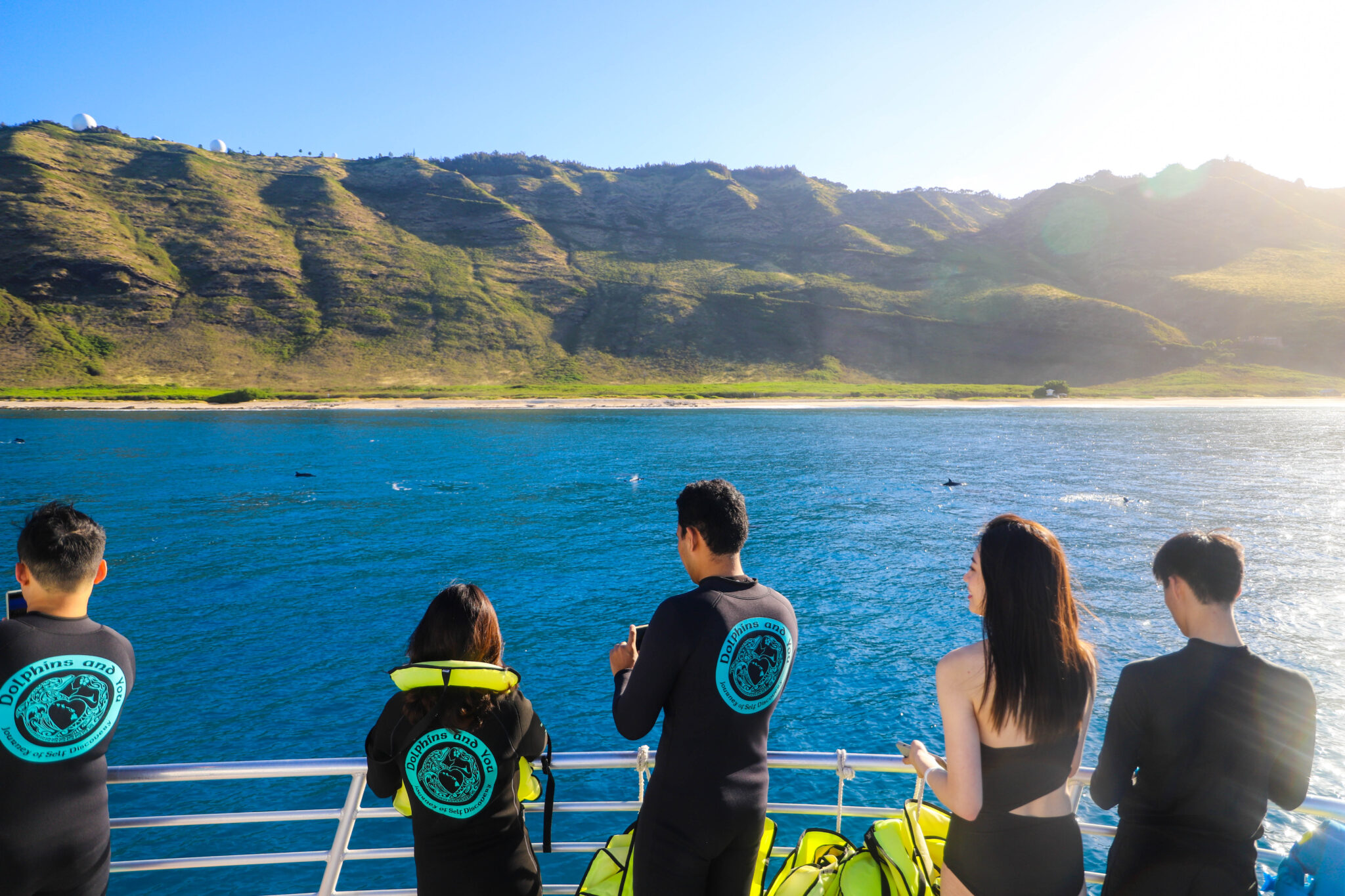 Read more about the article Swimming with Hawaiian Spinner Dolphins