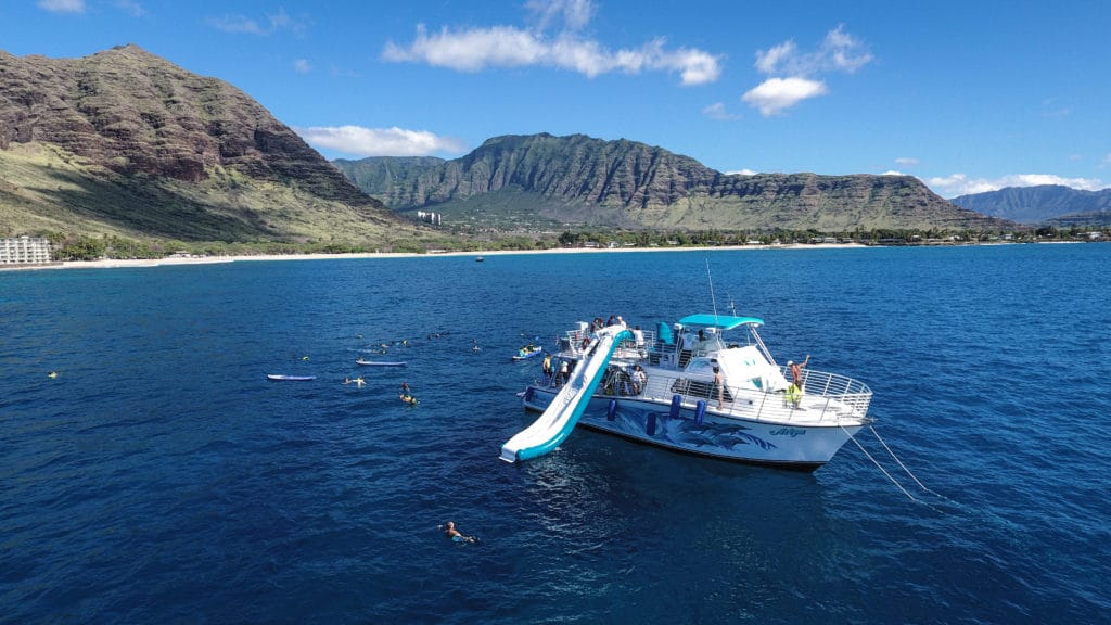 View of a Swim with Dolphins Tour in Oahu