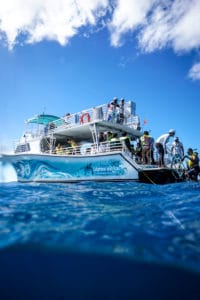 Oahu Dolphin Swim Tour Boat