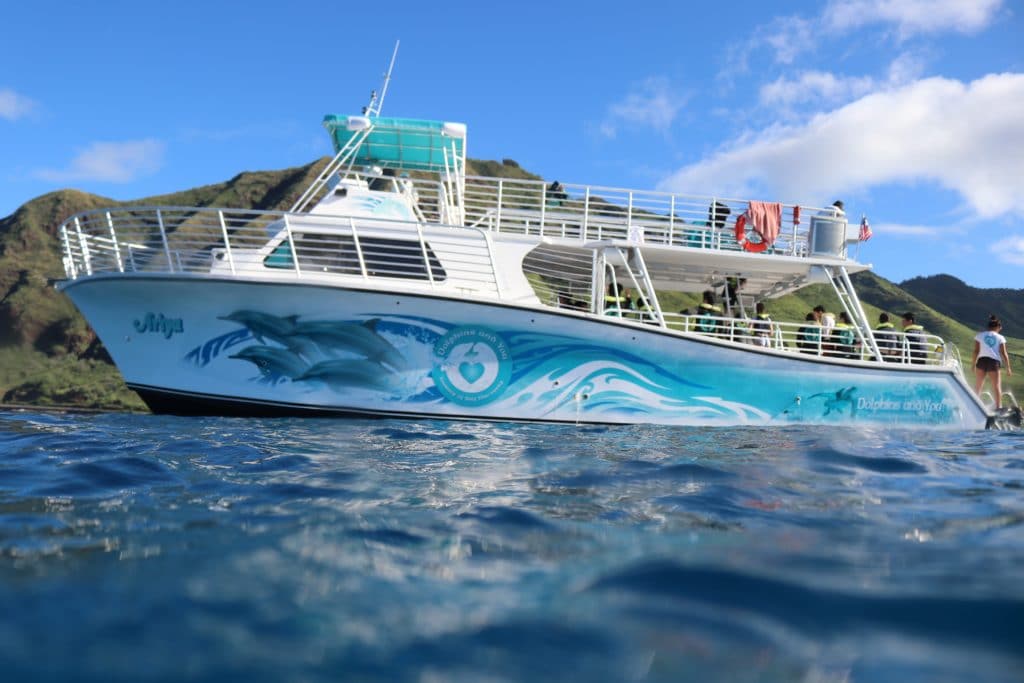 dolphin catamaran oahu