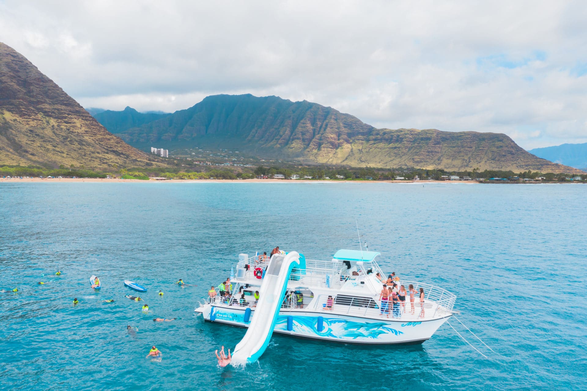 dolphin tours oahu hawaii