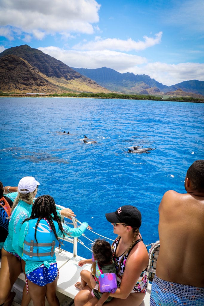 Watching dolphins in Oahu