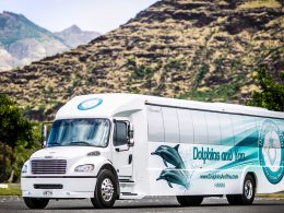 Oahu dolphin tour with transportation provided