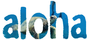 Let us show you how we live Aloha